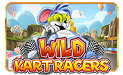 Wild Kart Racers